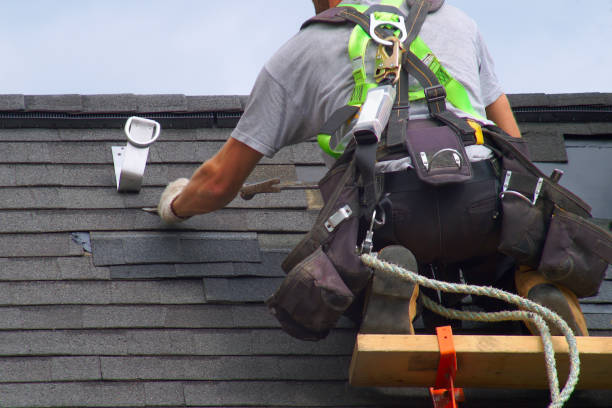 Best Roof Waterproofing  in Corunna, MI